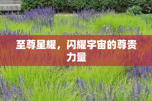 至尊星耀，闪耀宇宙的尊贵力量