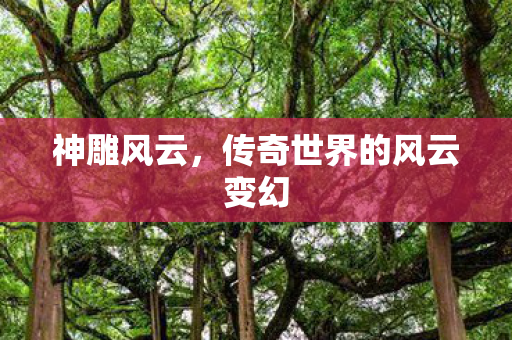 神雕风云，传奇世界的风云变幻