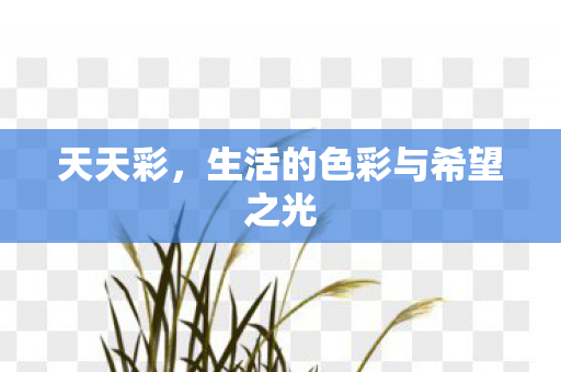 天天彩，生活的色彩与希望之光