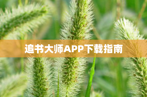 追书大师APP下载指南