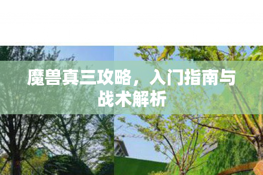 魔兽真三攻略，入门指南与战术解析