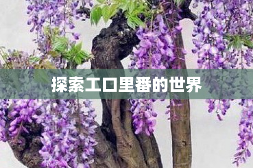 探索工口里番的世界