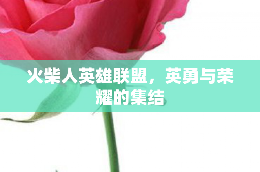 火柴人英雄联盟，英勇与荣耀的集结