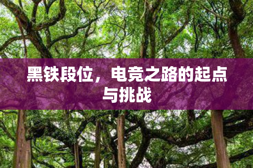 黑铁段位，电竞之路的起点与挑战