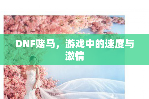 DNF赌马，游戏中的速度与激情