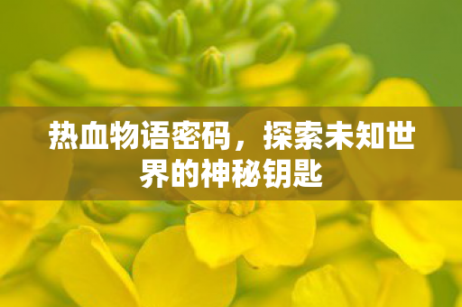 热血物语密码，探索未知世界的神秘钥匙