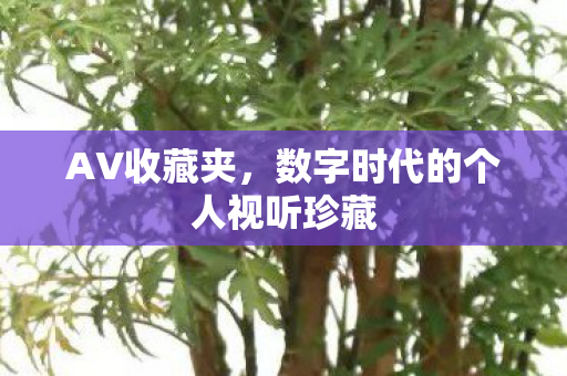 AV收藏夹，数字时代的个人视听珍藏