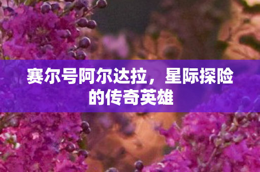 赛尔号阿尔达拉，星际探险的传奇英雄