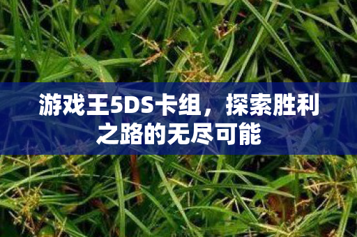 游戏王5DS卡组，探索胜利之路的无尽可能