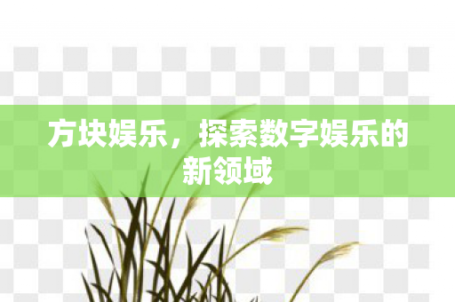 方块娱乐，探索数字娱乐的新领域