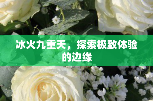 冰火九重天，探索极致体验的边缘