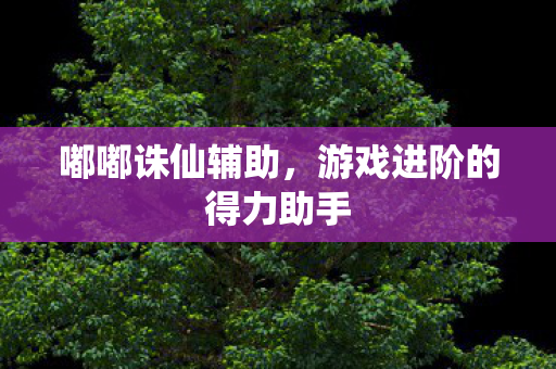 嘟嘟诛仙辅助，游戏进阶的得力助手