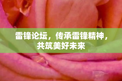 雷锋论坛，传承雷锋精神，共筑美好未来