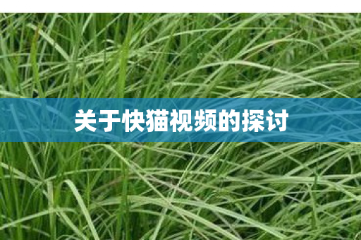 关于快猫视频的探讨