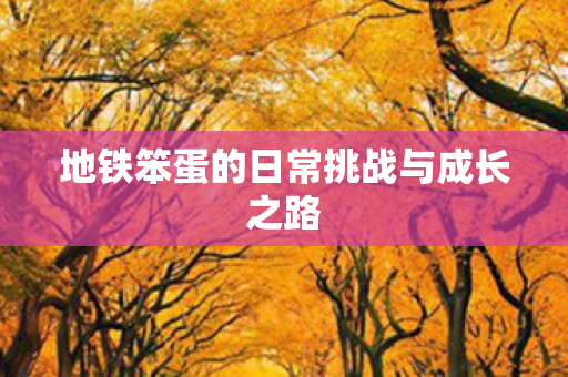 地铁笨蛋的日常挑战与成长之路