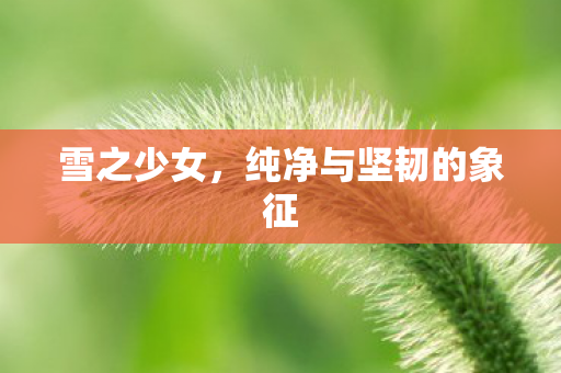 雪之少女，纯净与坚韧的象征