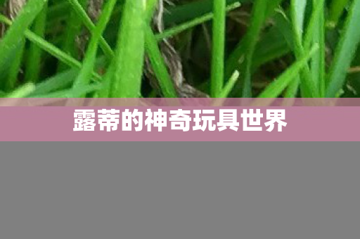 露蒂的神奇玩具世界