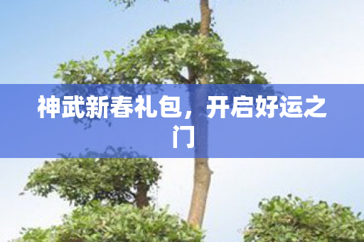 神武新春礼包，开启好运之门