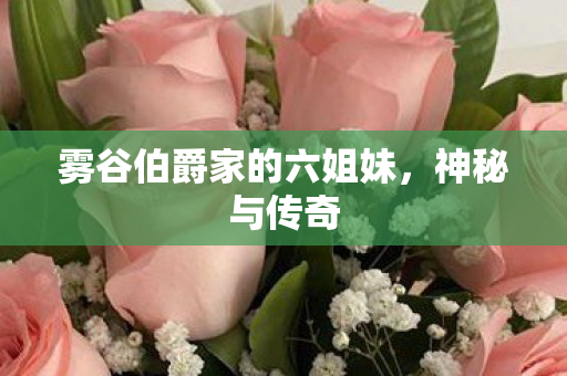 雾谷伯爵家的六姐妹，神秘与传奇