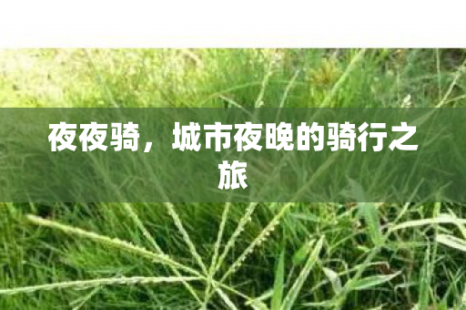 夜夜骑，城市夜晚的骑行之旅