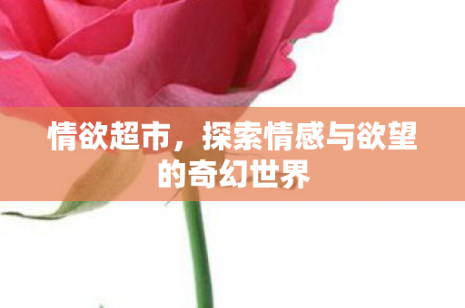 情欲超市，探索情感与欲望的奇幻世界