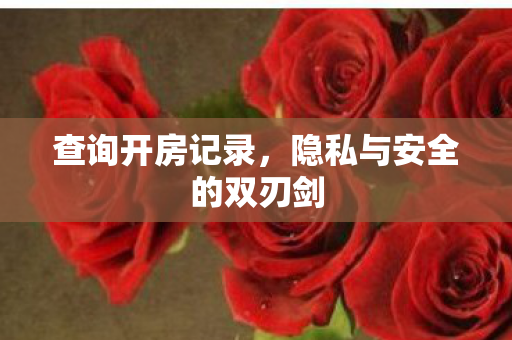 查询开房记录，隐私与安全的双刃剑
