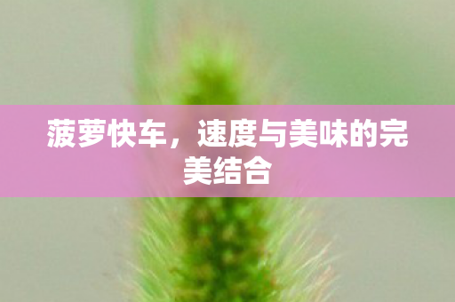 菠萝快车，速度与美味的完美结合