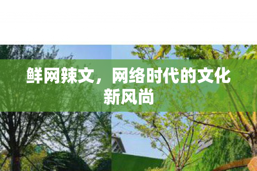 鲜网辣文，网络时代的文化新风尚