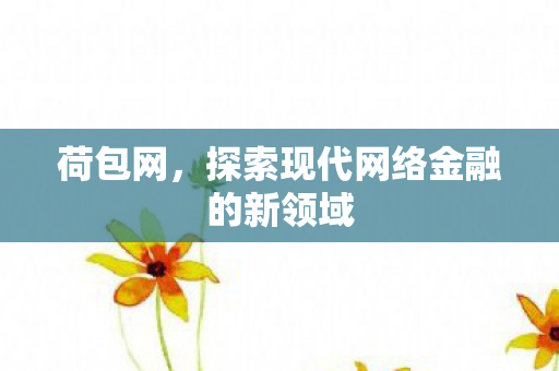 荷包网，探索现代网络金融的新领域