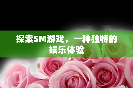 探索SM游戏，一种独特的娱乐体验