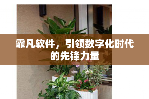 霏凡软件，引领数字化时代的先锋力量