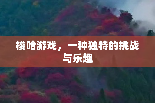 梭哈游戏，一种独特的挑战与乐趣