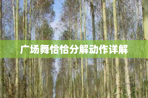 广场舞恰恰分解动作详解