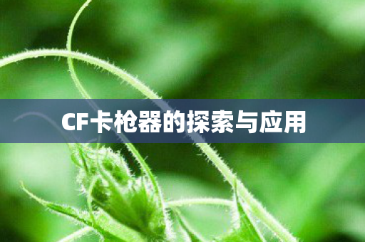 CF卡枪器的探索与应用