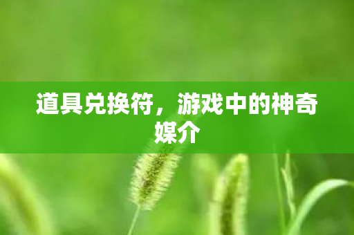 道具兑换符，游戏中的神奇媒介