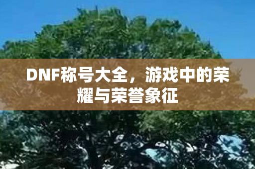 DNF称号大全，游戏中的荣耀与荣誉象征