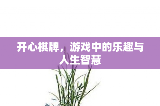 开心棋牌，游戏中的乐趣与人生智慧