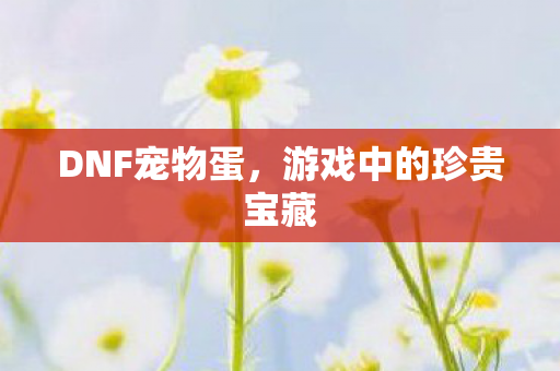 DNF宠物蛋，游戏中的珍贵宝藏
