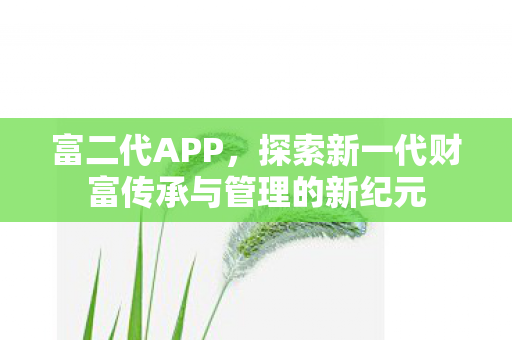 富二代APP，探索新一代财富传承与管理的新纪元