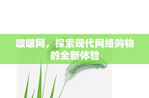 啵啵网，探索现代网络购物的全新体验