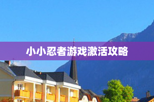 小小忍者游戏激活攻略