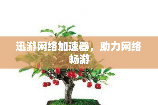 迅游网络加速器，助力网络畅游