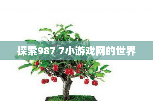 探索987 7小游戏网的世界