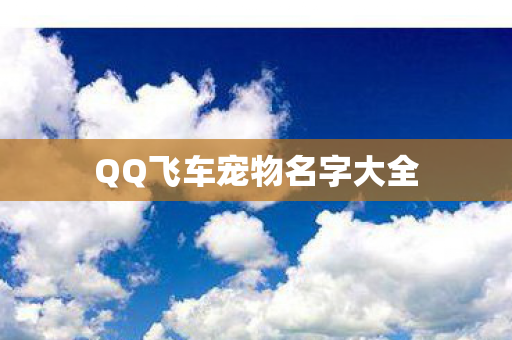 QQ飞车宠物名字大全
