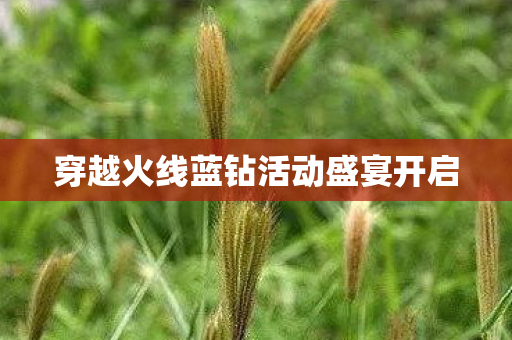 穿越火线蓝钻活动盛宴开启