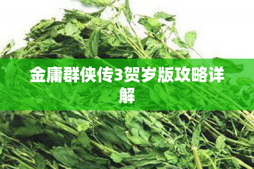 金庸群侠传3贺岁版攻略详解