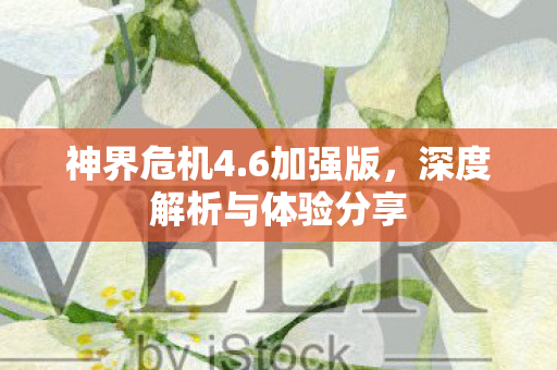 神界危机4.6加强版，深度解析与体验分享