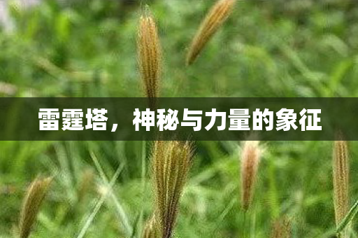 雷霆塔，神秘与力量的象征