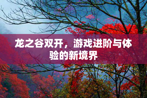 龙之谷双开，游戏进阶与体验的新境界