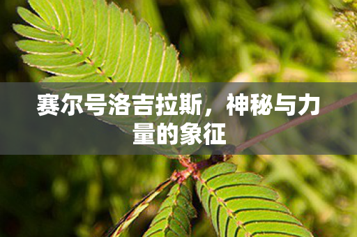 赛尔号洛吉拉斯，神秘与力量的象征